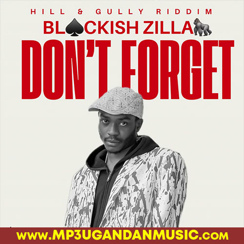 Dont Forget - Blackish Zilla MP3UG Music